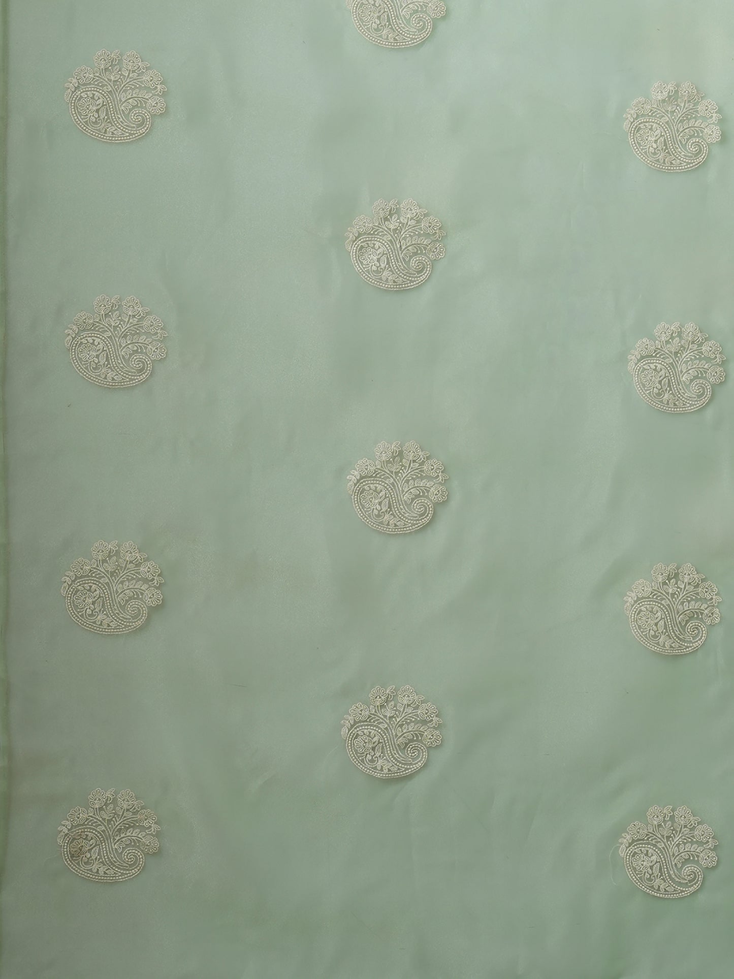 OLIVE KAVI VOL.4 ORGANZA