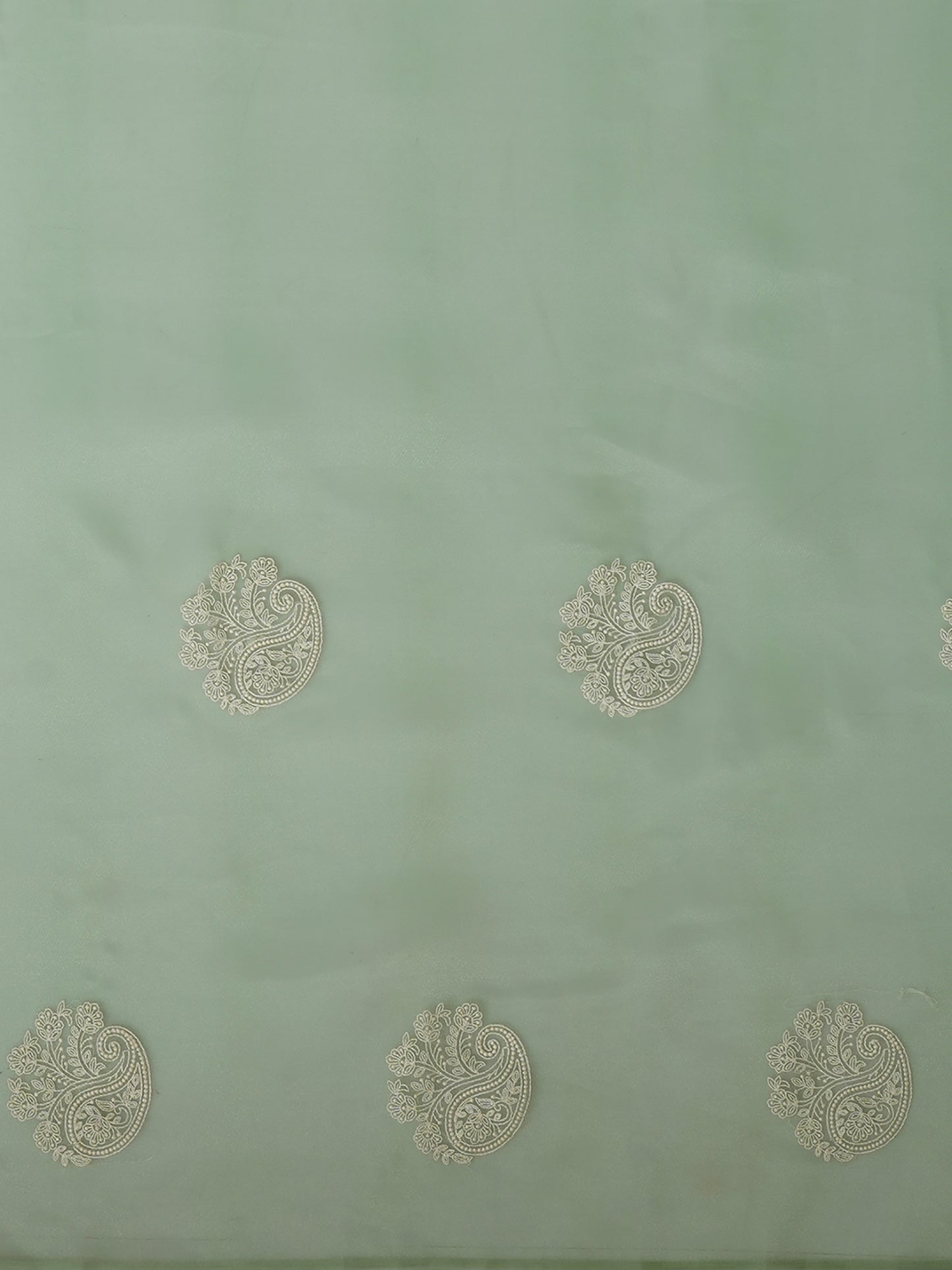 OLIVE KAVI VOL.4 ORGANZA